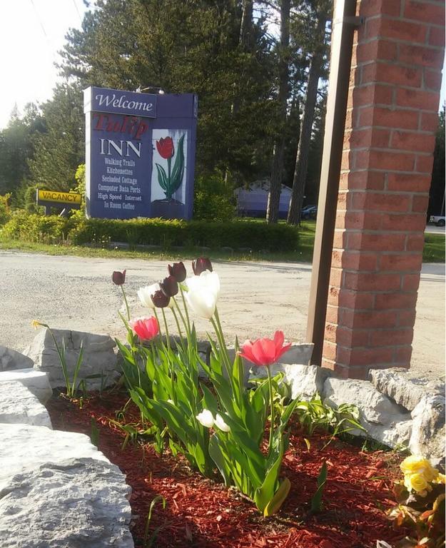 Tulip Inn Huntsville Eksteriør billede
